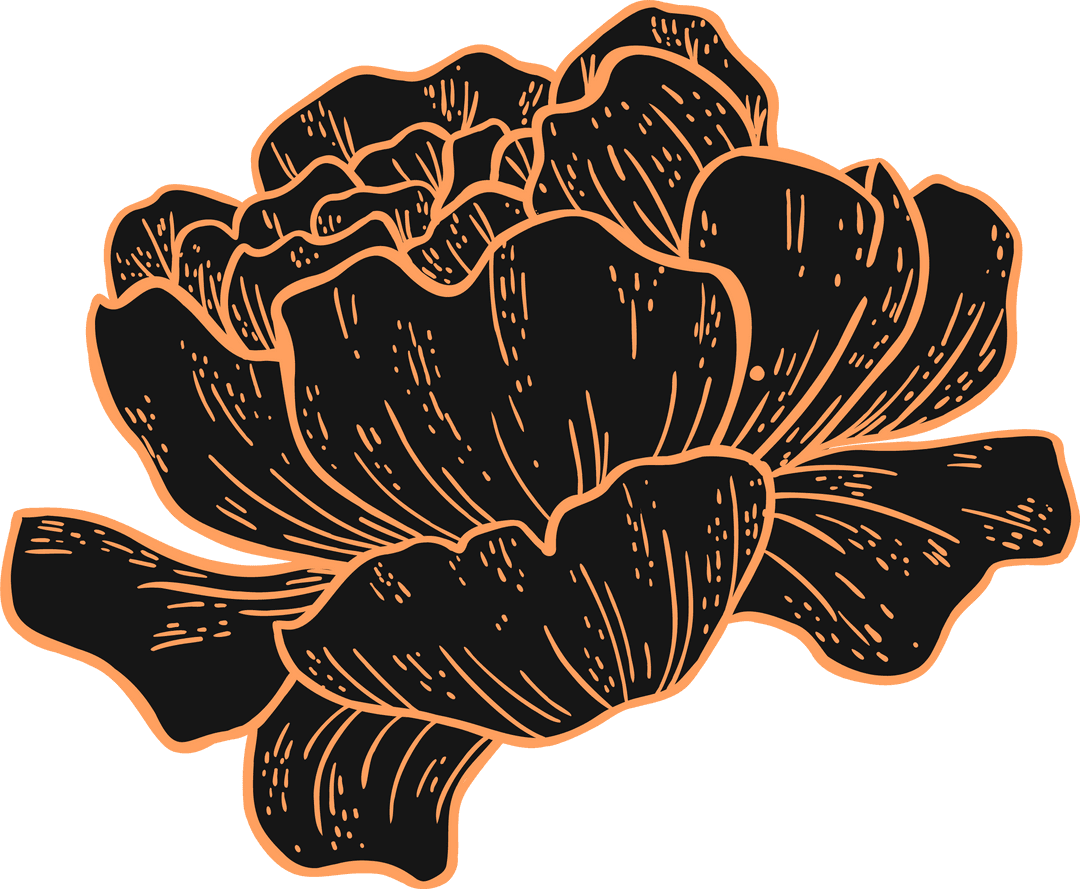 Ornate Vector Flower with Transparent Background