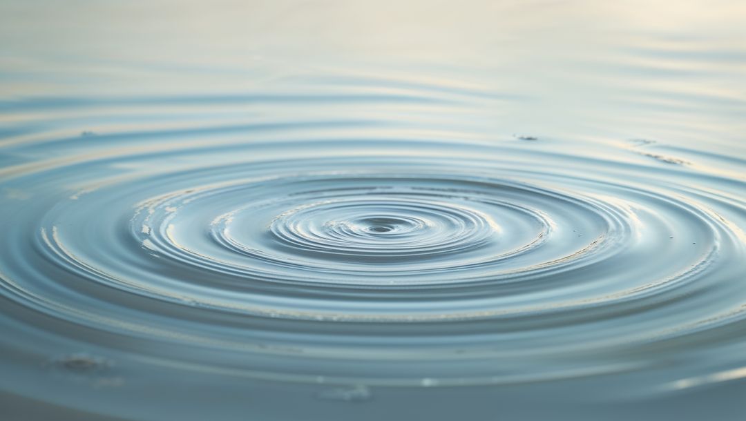Concentric Water Ripples and Reflection in Tranquil Pond