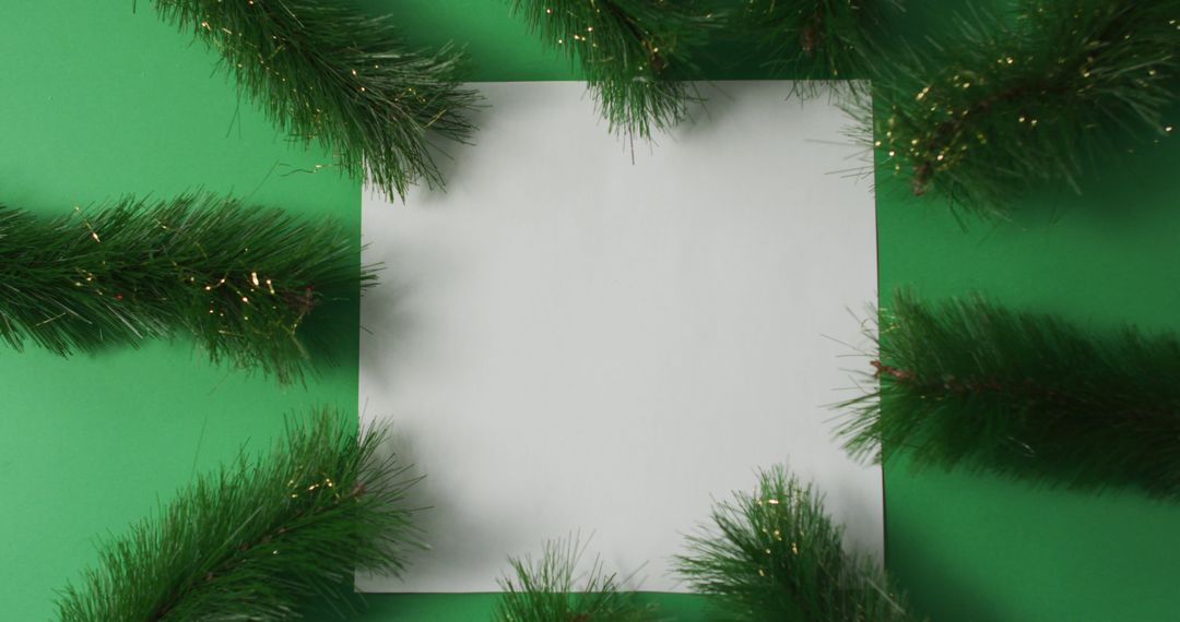 Blank white card with copy space framed with fir tree branches on green background - Free Images, Stock Photos and Pictures on Pikwizard.com