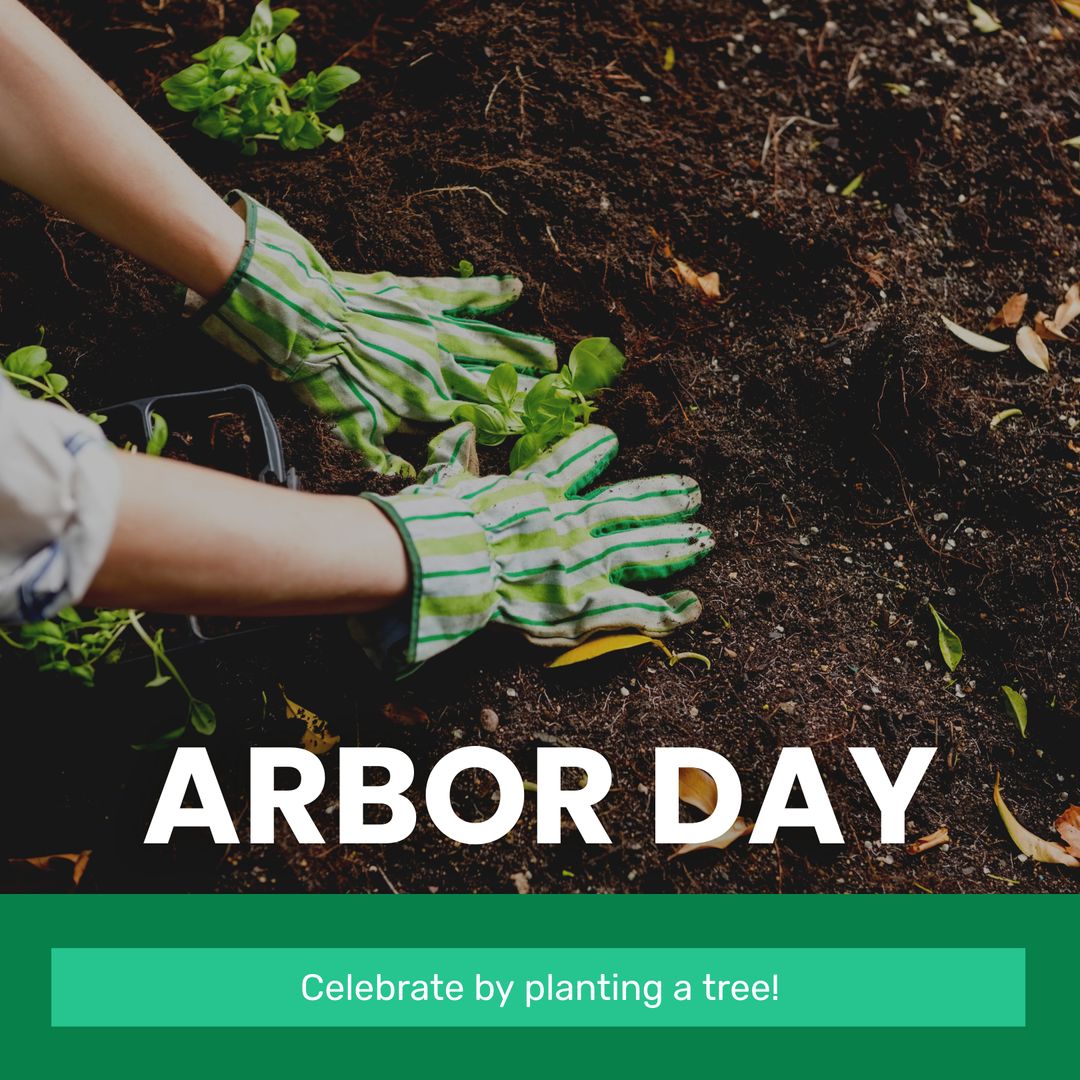 Hands with Gloves Planting Seedling in Garden for Arbor Day
