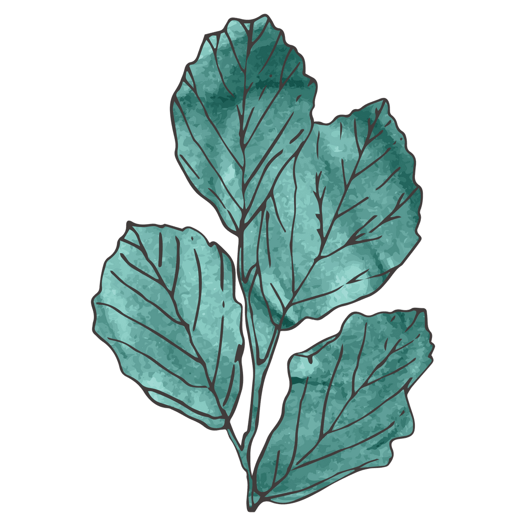 Watercolor Gray Leaves on Transparent Background Illustration