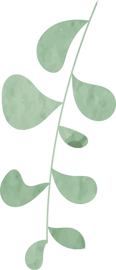 Transparent Watercolor Botanical Branch Illustration