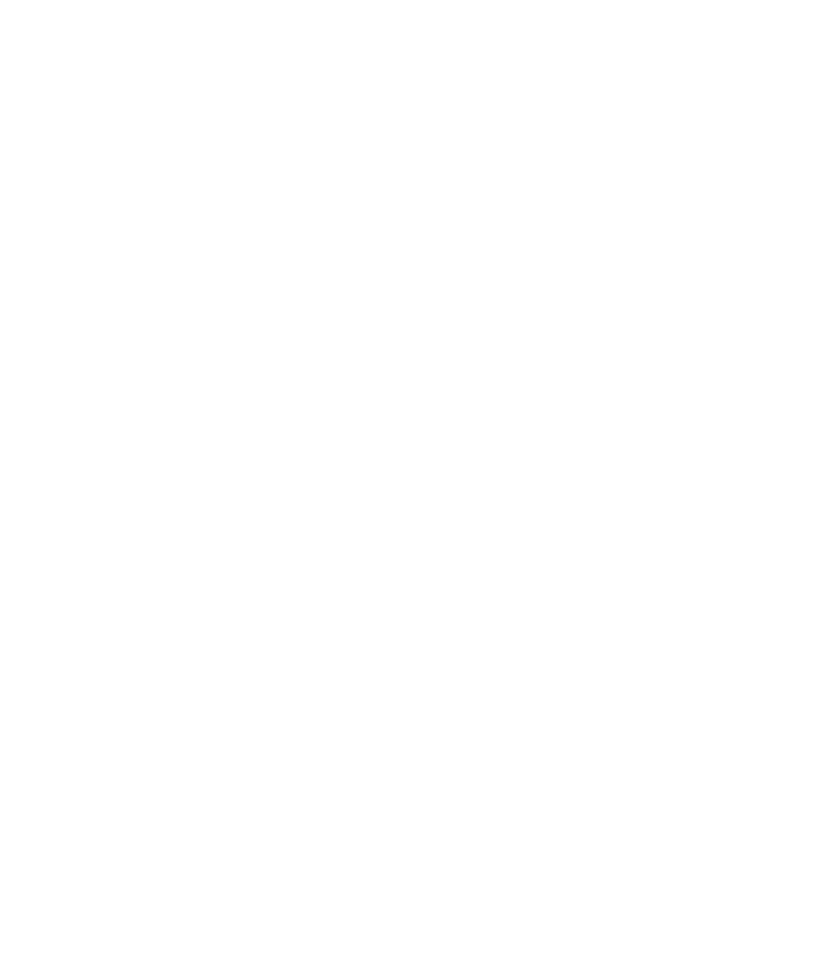 Intricate White Paisley Pattern on Transparent Background