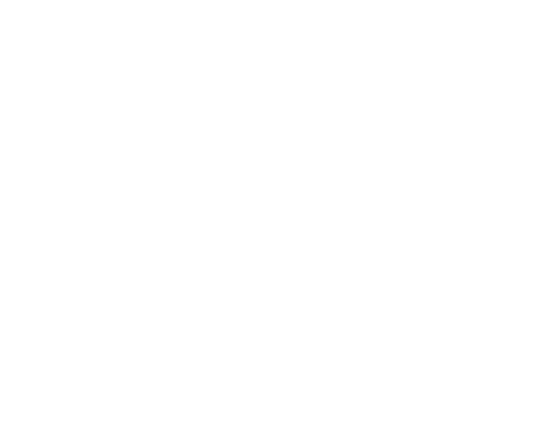 Cricket Player Silhouette on Transparent Background