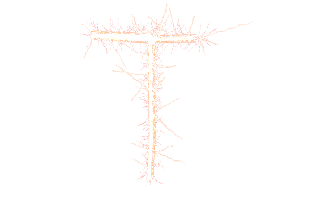 Artistic Neon Pink T Letter on Transparent Background