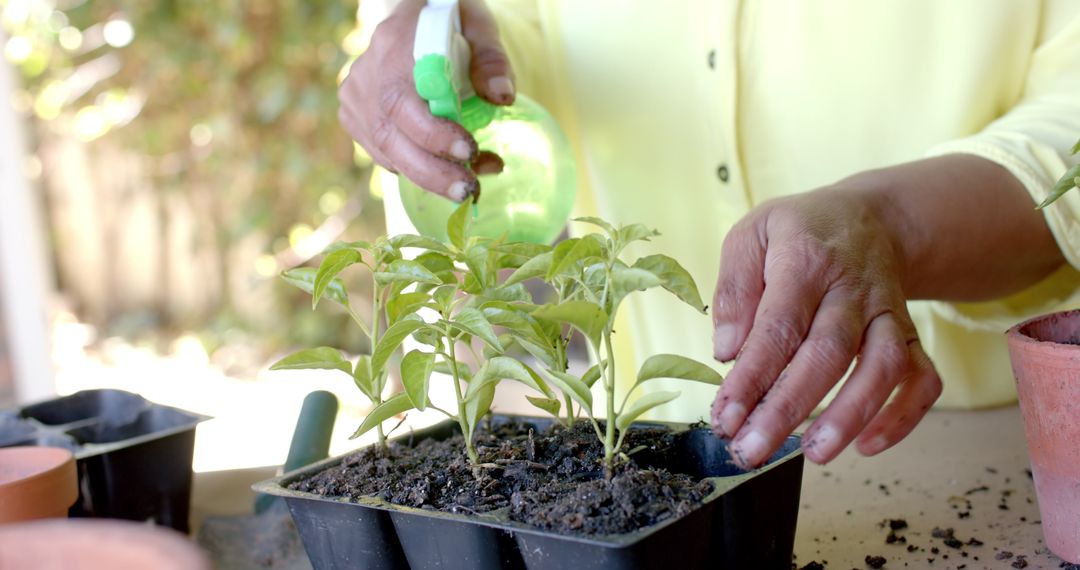 Senior Woman Caring for Garden Plants at Home