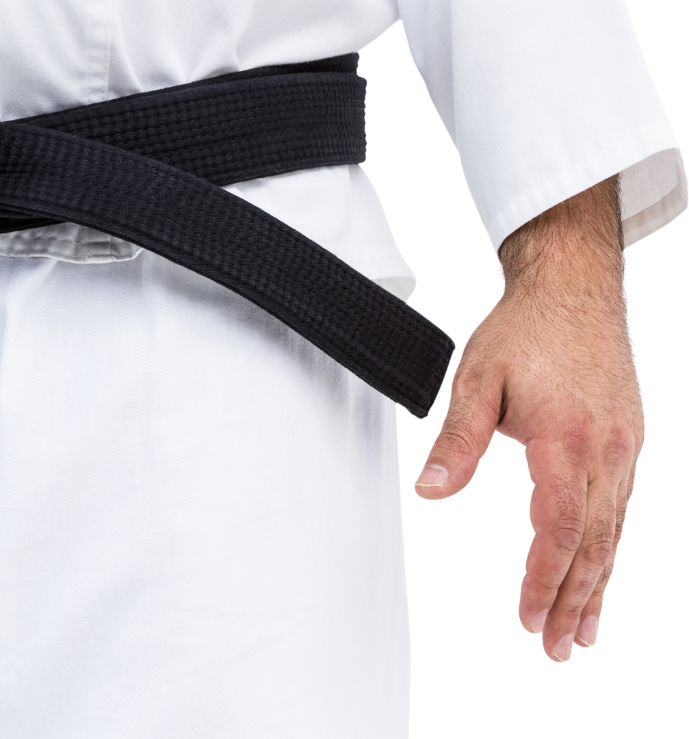 Transparent Martial Artist Wearing Black Belt Gi Close-Up - Download Free Stock Images Pikwizard.com