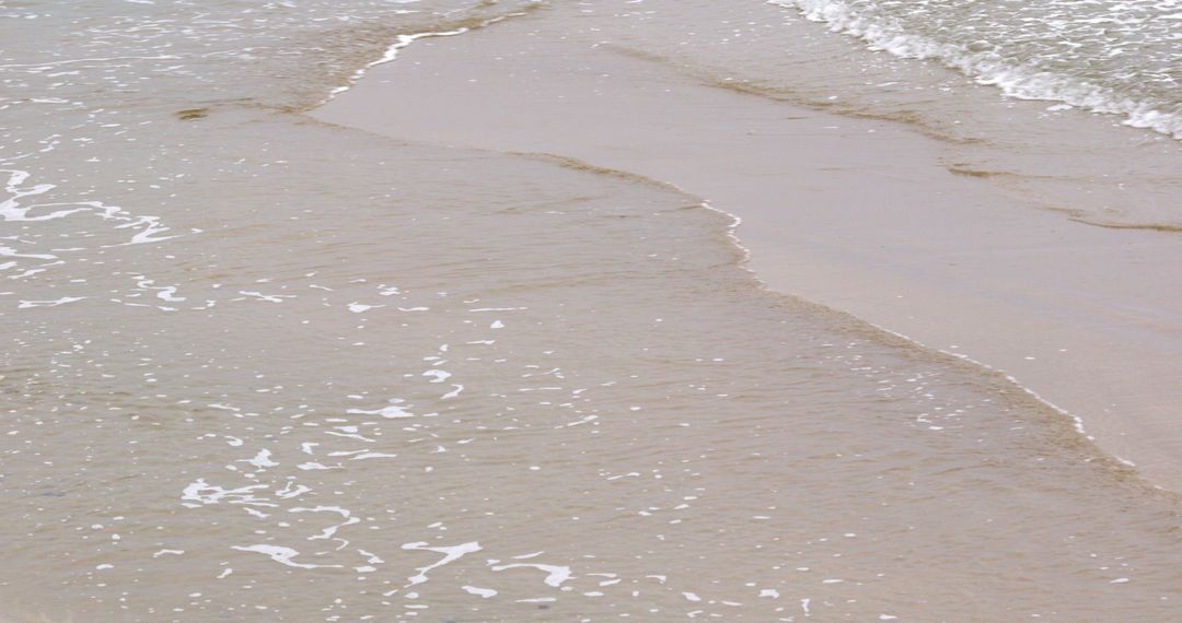 Soft Waves Gently Lapping on Sandy Beach Shoreline - Free Images, Stock Photos and Pictures on Pikwizard.com