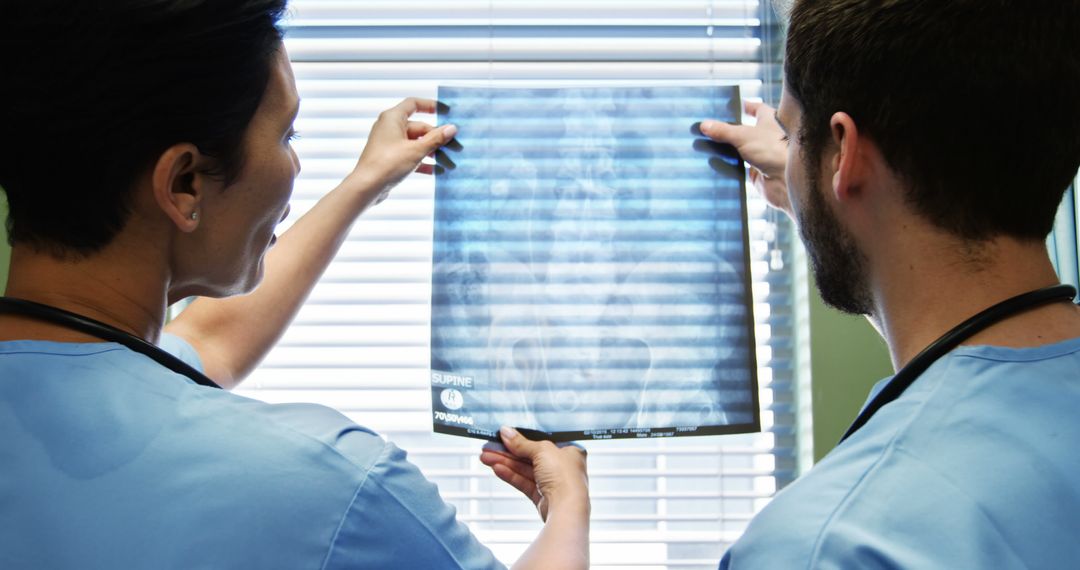 Doctors Analyzing X-ray Image in Clinic - Free Images, Stock Photos and Pictures on Pikwizard.com