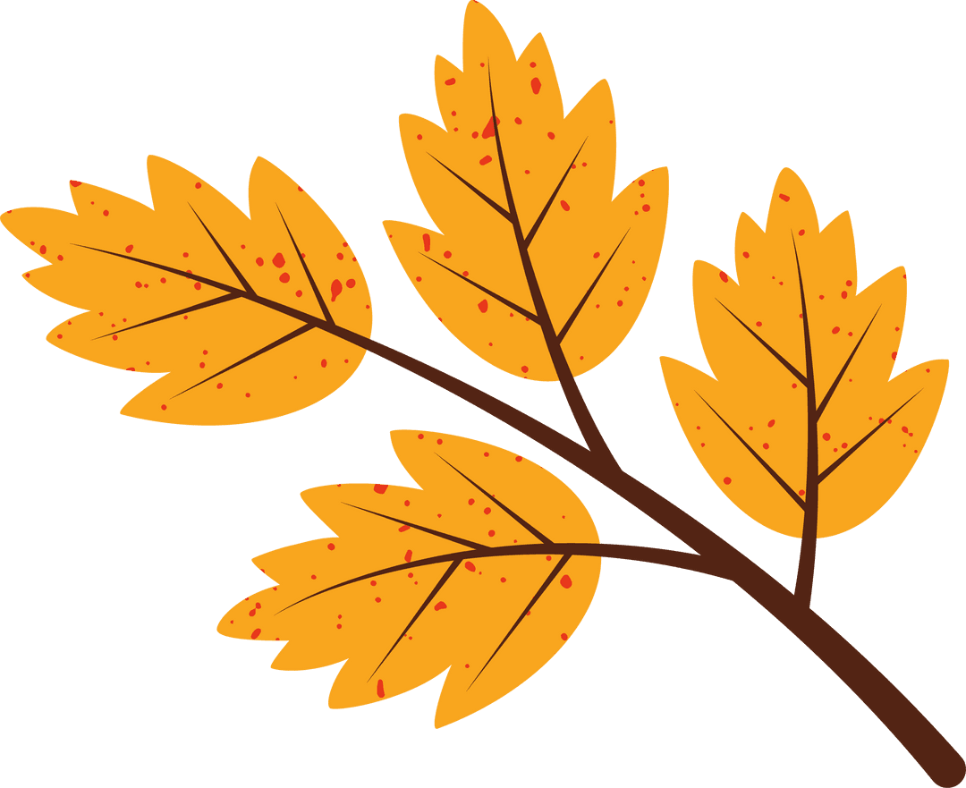 Vector Branch with Orange Leaves on Transparent Background