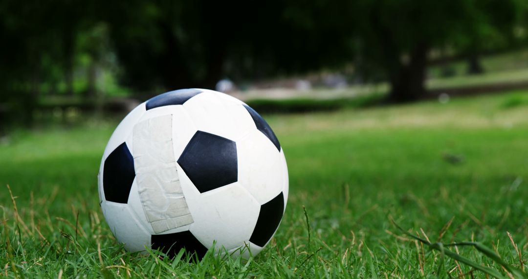 Worn Soccer Ball on Grassy Field with Trees in Background - Free Images, Stock Photos and Pictures on Pikwizard.com