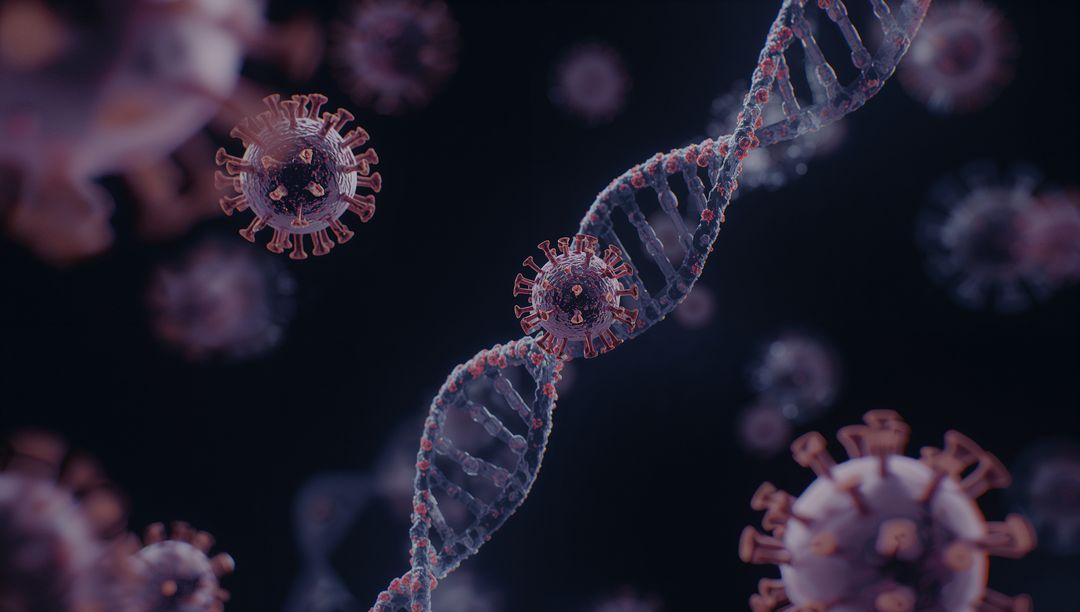 Virus Particles and DNA Strand in Complex Molecular Environment