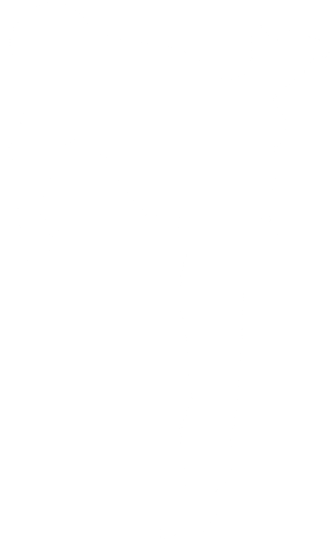 Silhouette Tae Kwon Do Martial Artist Kick on Transparent Background - Download Free Stock Images Pikwizard.com