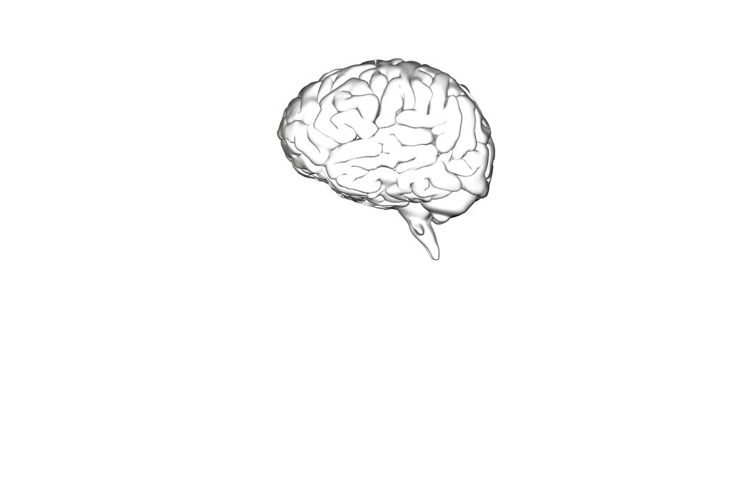 Transparent Brain Illustration with Copy Space on Black Background - Download Free Stock Images Pikwizard.com