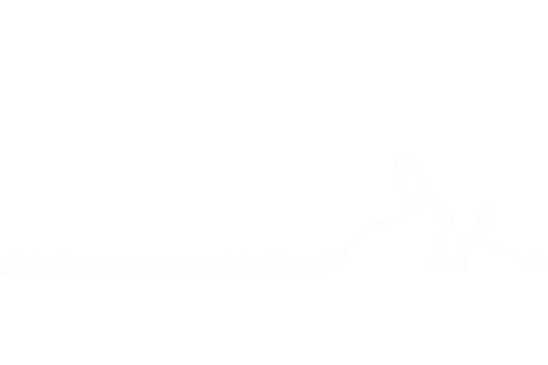 Silhouette of Rabbits on Grass with Transparent Background