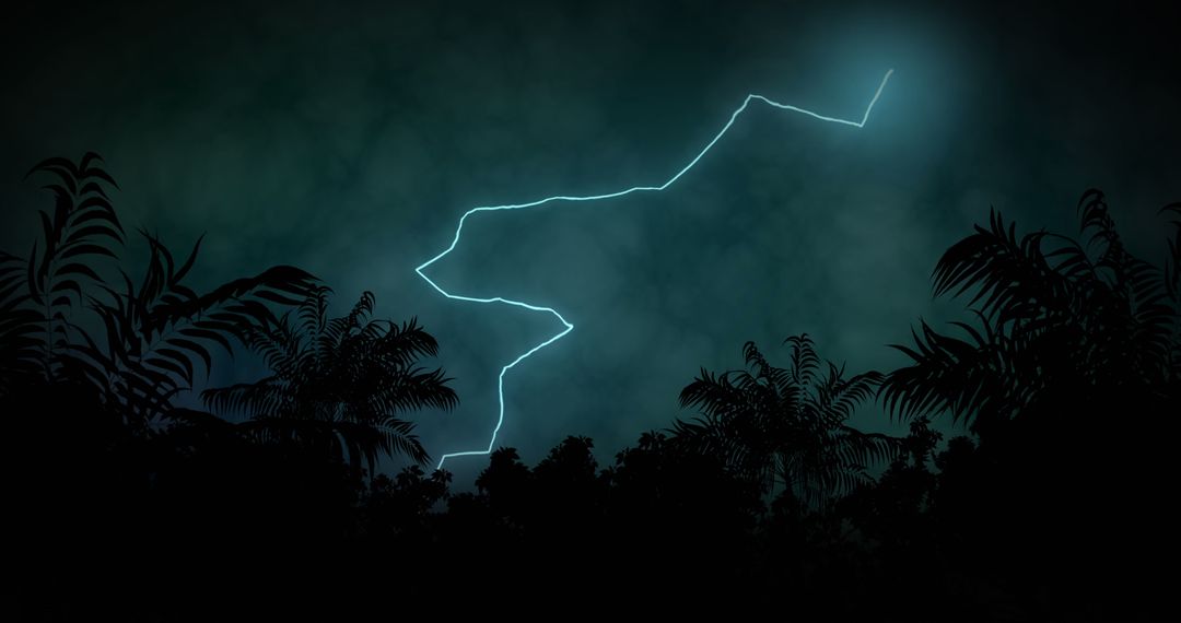 Lightning Flashing Over Palm Trees During Stormy Night