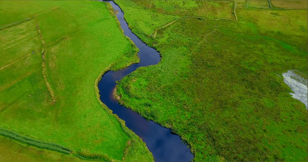 Transparent Serpentine River Amid Lush Greenery