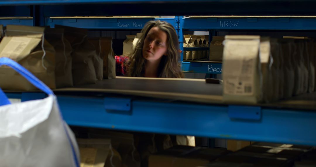 Woman Inspecting Inventory on Warehouse Shelf - Free Images, Stock Photos and Pictures on Pikwizard.com