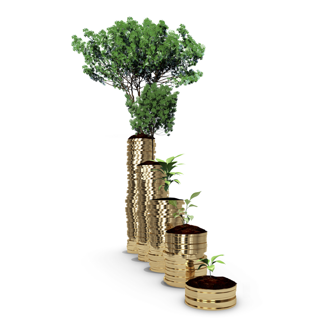 Golden Coin Stacks with Growing Trees PNG Illustration on Transparent Background - Download Free Stock Images Pikwizard.com