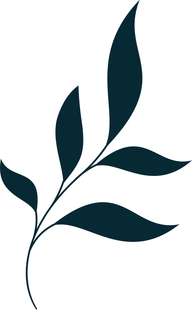 Minimalist Dark Teal Leafy Branch on Transparent Background