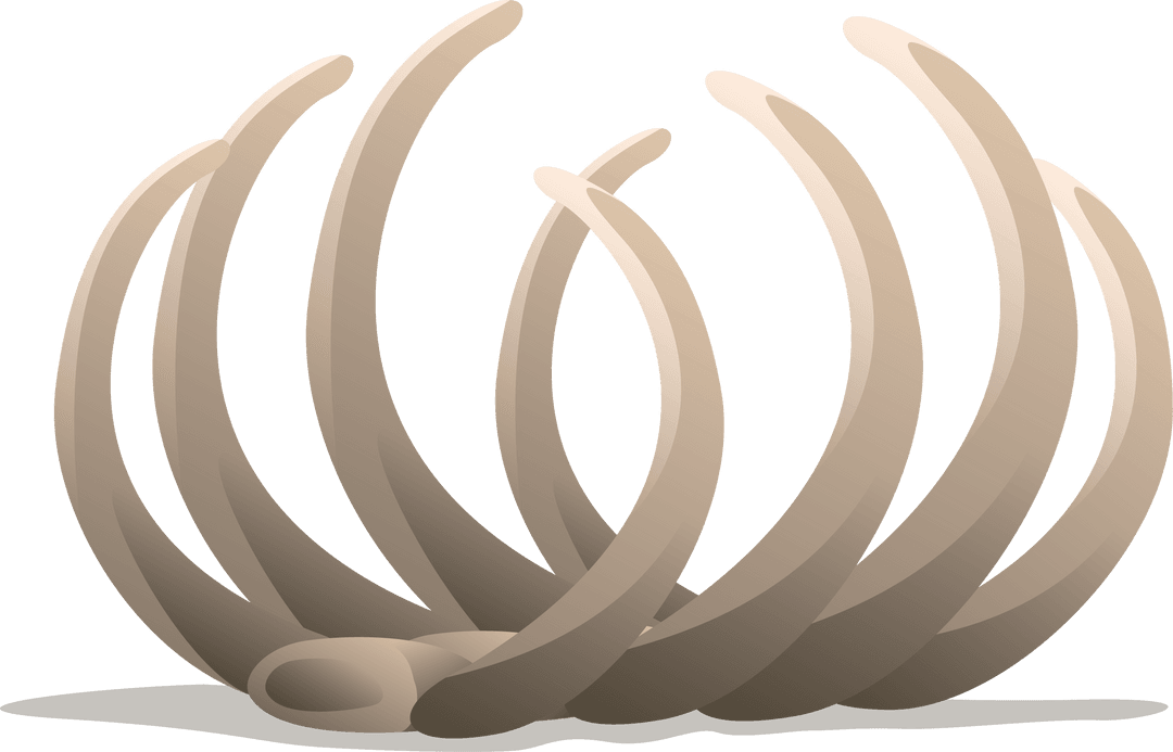 3D Abstract Curved Beige Petals on Transparent Background