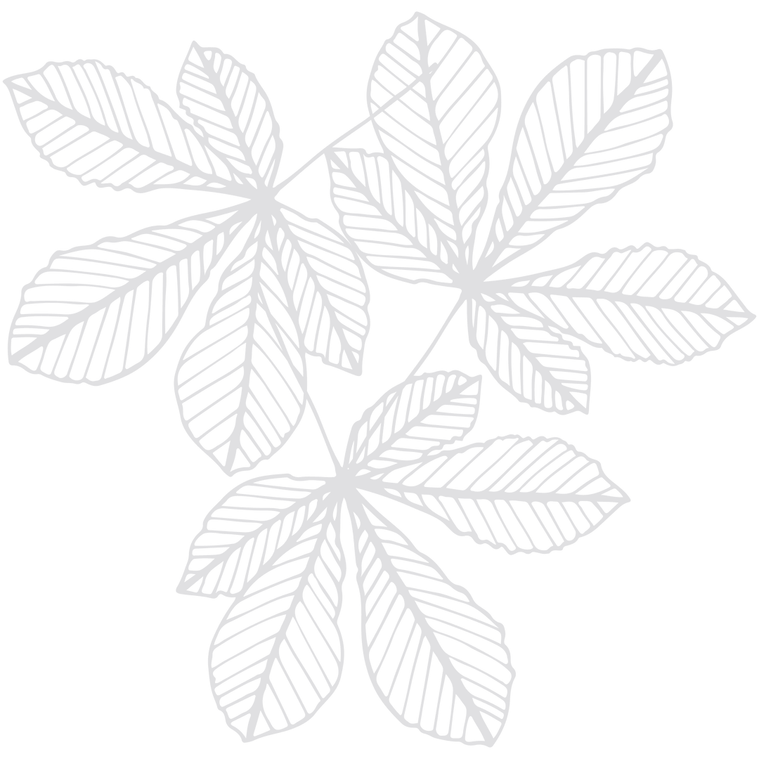 Transparent White Leaves Design on Transparent Background