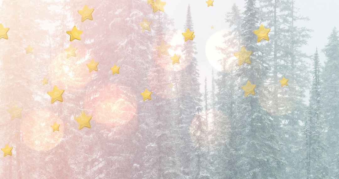Golden Stars Falling in Wintry Forest Wonderland