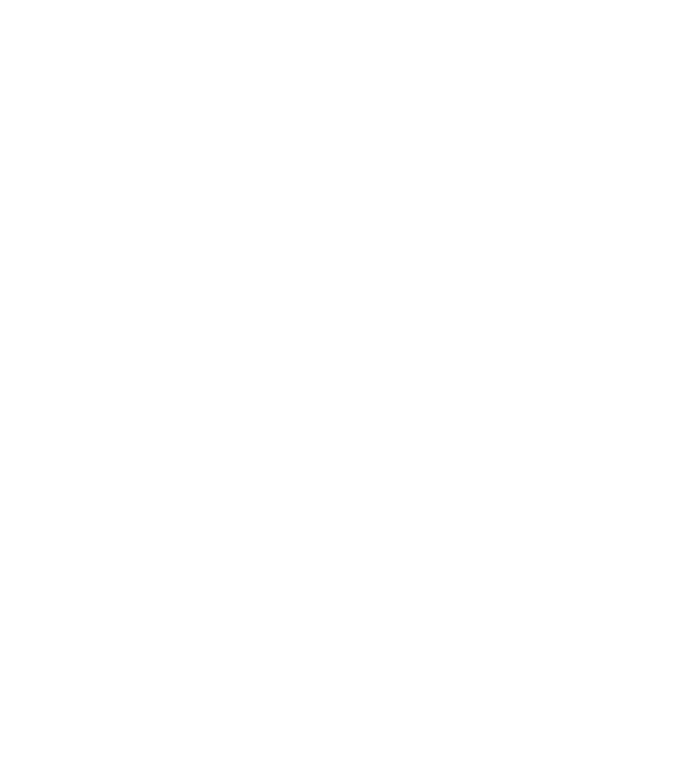 Vintage Hexagon Transparent Logo with Grapevine Illustration