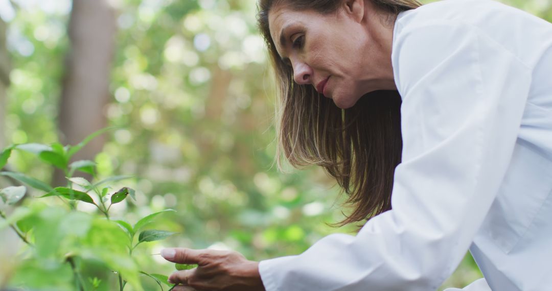 Female botanist examining plants in forest - Free Images, Stock Photos and Pictures on Pikwizard.com