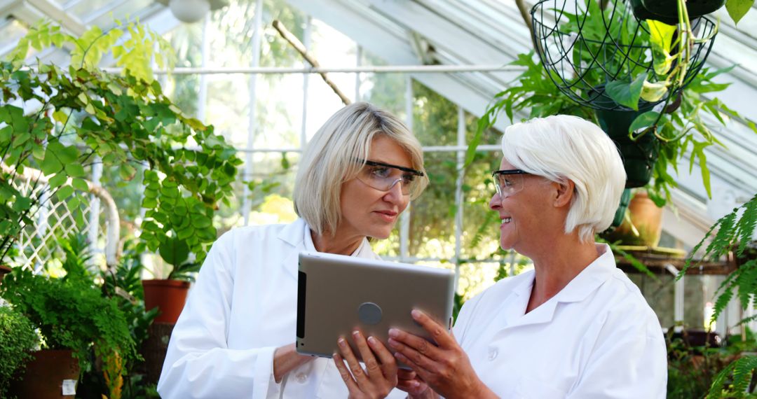 Senior Scientists Reviewing Data in Greenhouse Laboratory - Free Images, Stock Photos and Pictures on Pikwizard.com