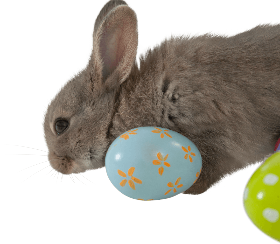 Transparent Rabbit Holding Floral Easter Egg Decorative Design