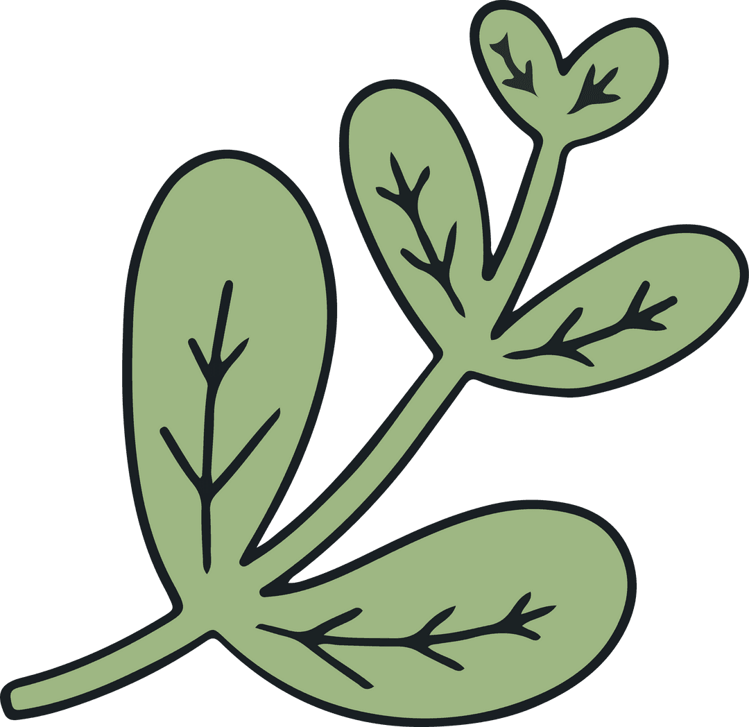 Green Plant Sprig Vector with Elongated Leaves on Transparent Background