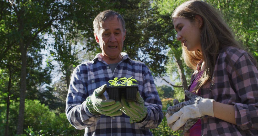 Senior man and young woman starting gardening with seedlings in park - Free Images, Stock Photos and Pictures on Pikwizard.com