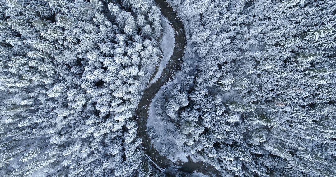 Aerial View of Snow-Covered Pine Forest with Serpentine Creek - Free Images, Stock Photos and Pictures on Pikwizard.com