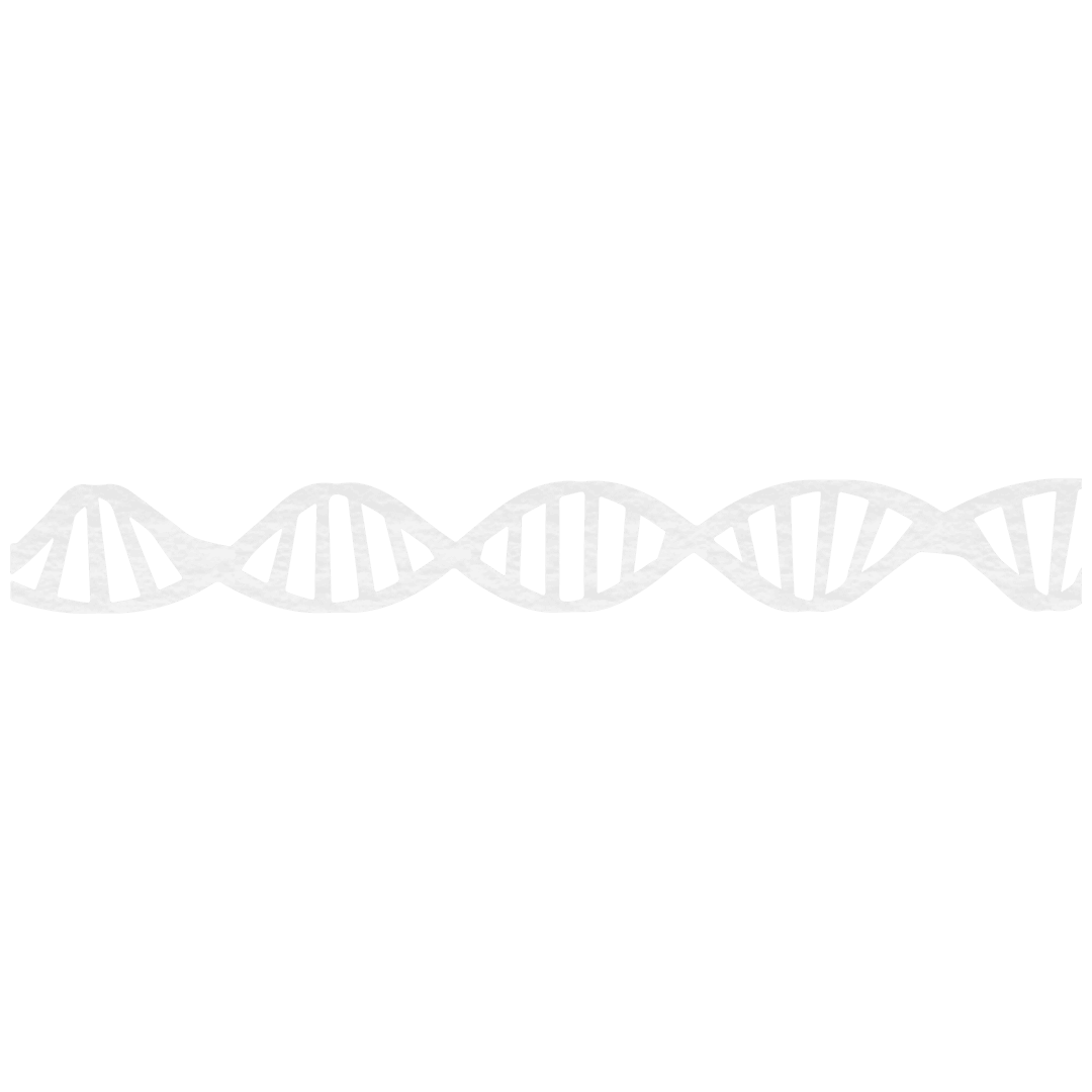Transparent White DNA Strand for Science & Education