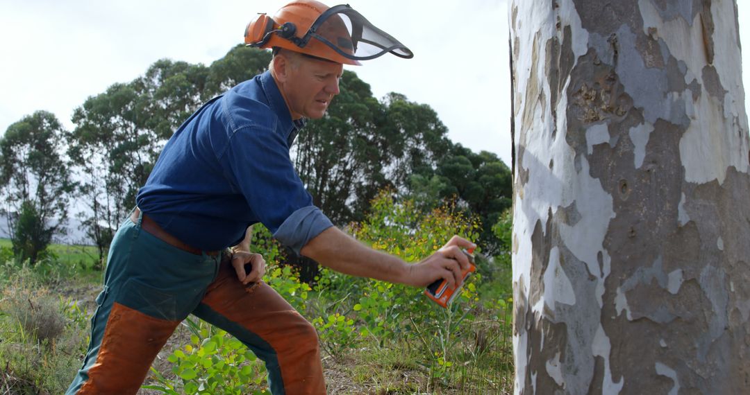 Male Arborist Marking Tree for Conservation Work - Free Images, Stock Photos and Pictures on Pikwizard.com