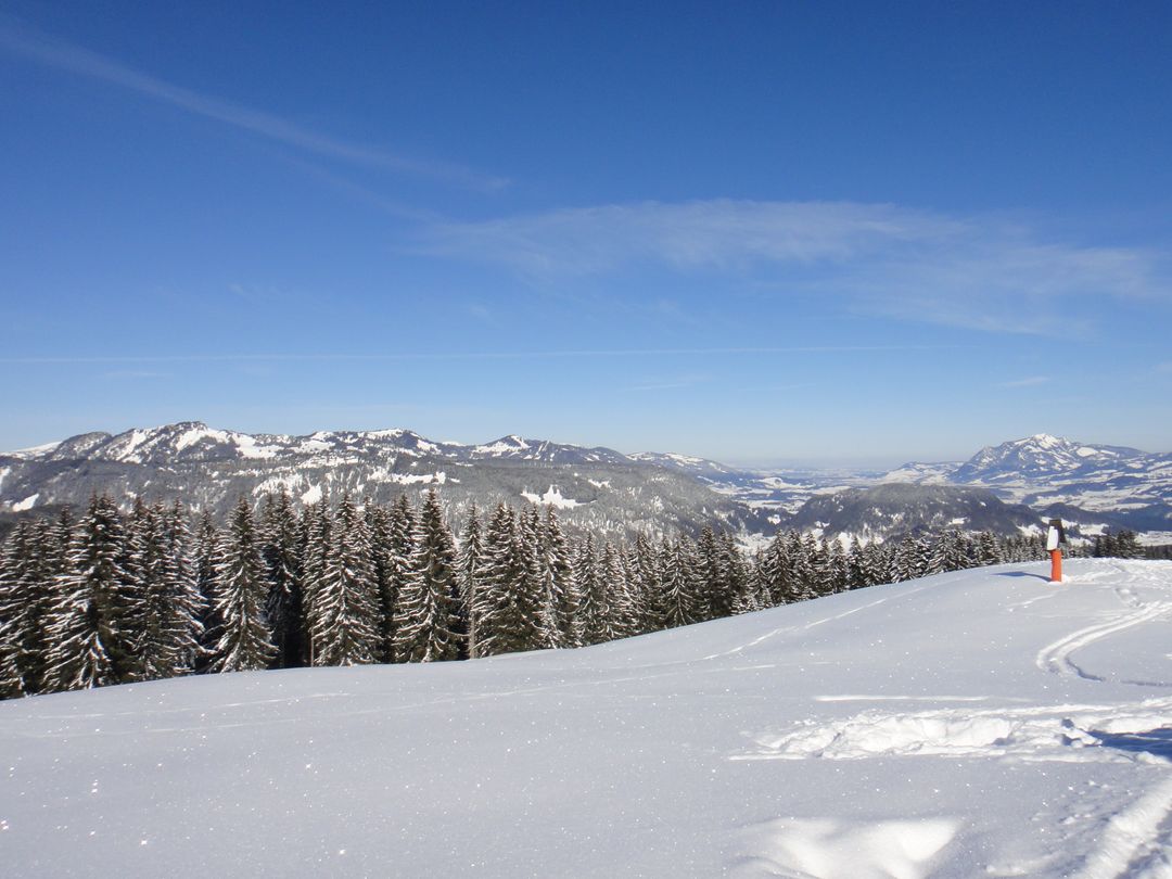 Snow-Covered Mountain Range with Forest and Clear Blue Sky - Free Images, Stock Photos and Pictures on Pikwizard.com