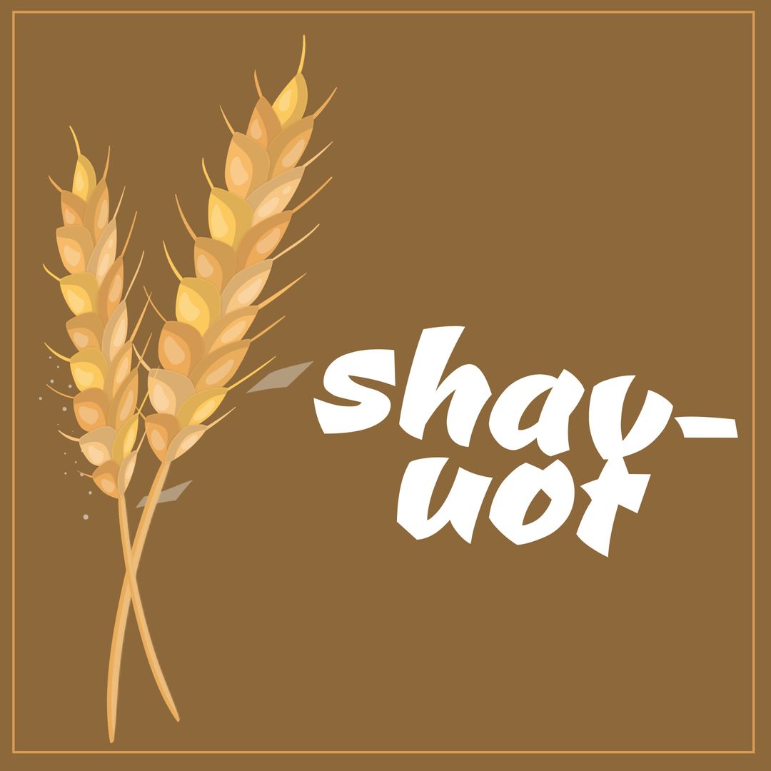 Shavuot Celebration Concept with Ears of Wheat and Text