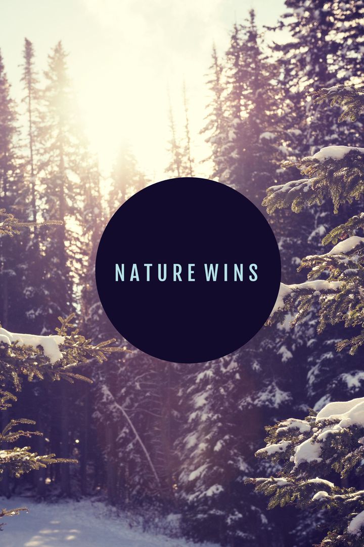 Snowy Forest Landscape with Nature Wins Text