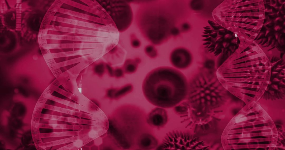 Magenta DNA Helix with Blurred Cells Abstract Medical Background for Genomics Research