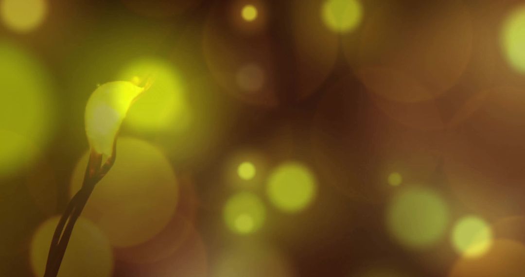 Abstract Glowing Spots on Dark Background