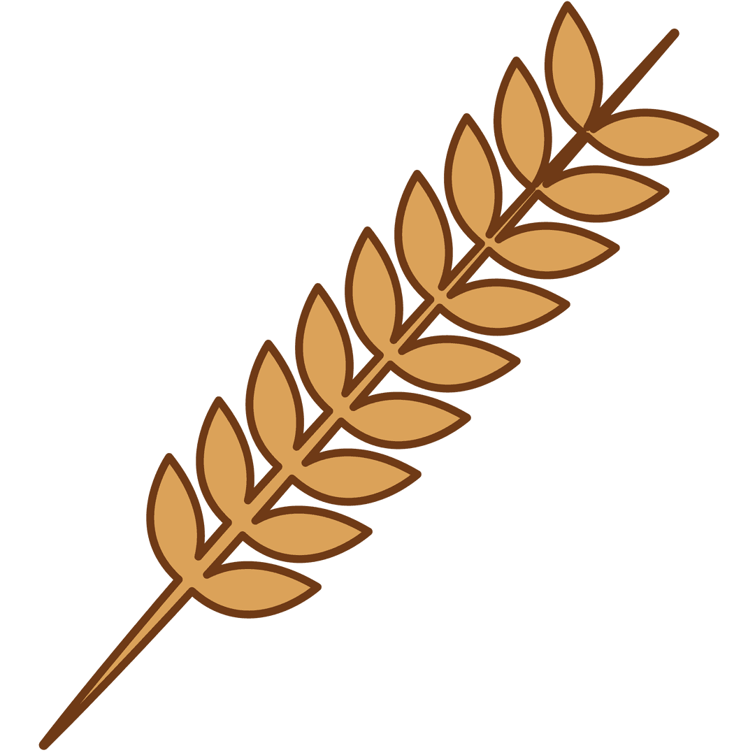 Golden Wheat Ear Illustration on Transparent Background