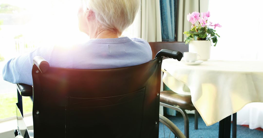 Elderly Woman in Wheelchair Enjoying Sunlight Indoors - Free Images, Stock Photos and Pictures on Pikwizard.com