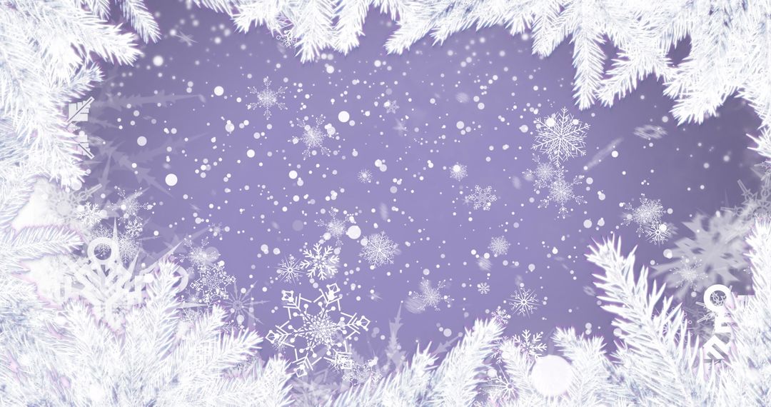 Elegant Winter Wonderland with Snowfall and Frosted Fir Branches