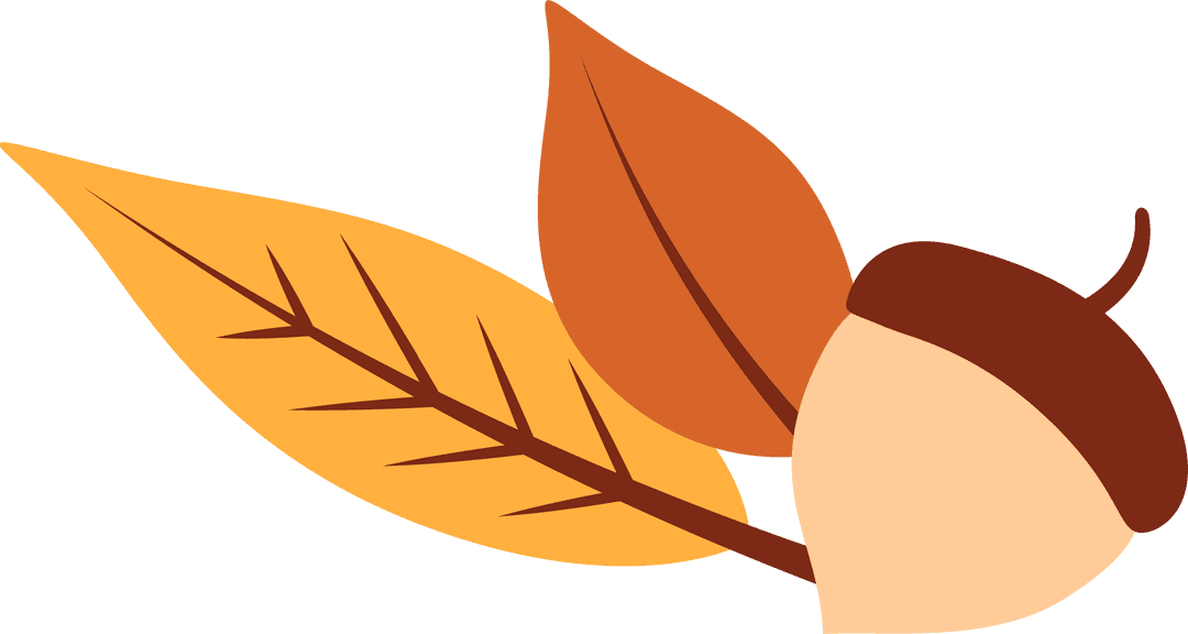 Transparent Flat Art Acorn and Autumn Leaves Illustration