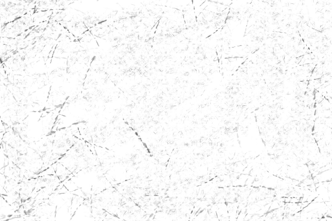 Abstract Lines and Shapes on Transparent Background