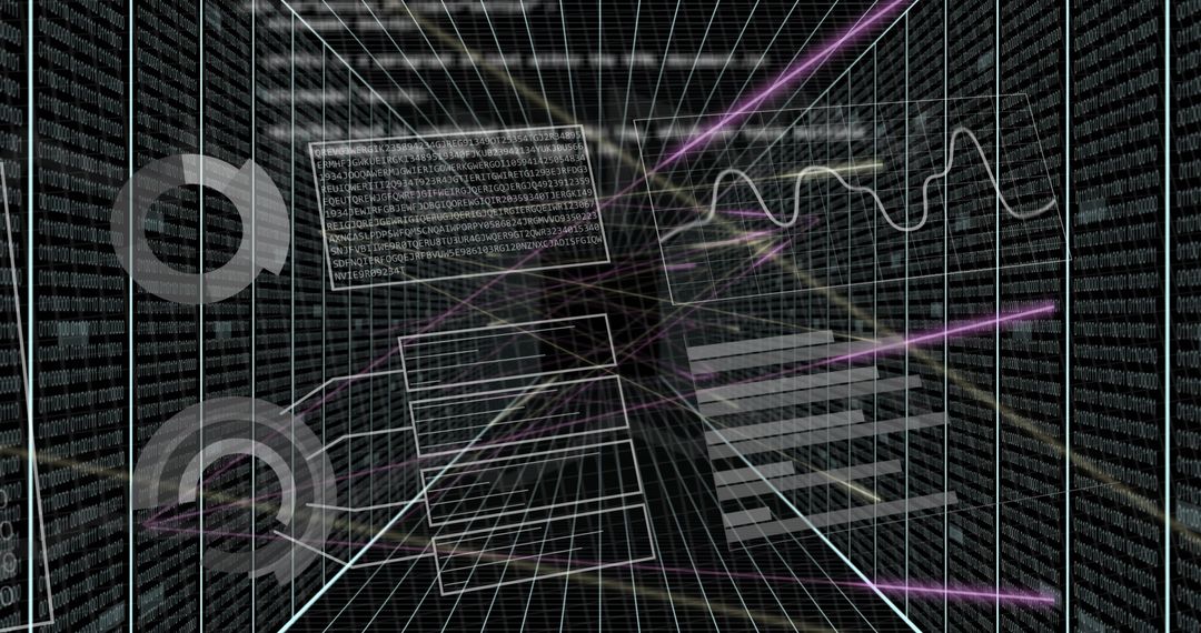 Digital Data Streams and Graphs Over Lapouche Hounds Grid