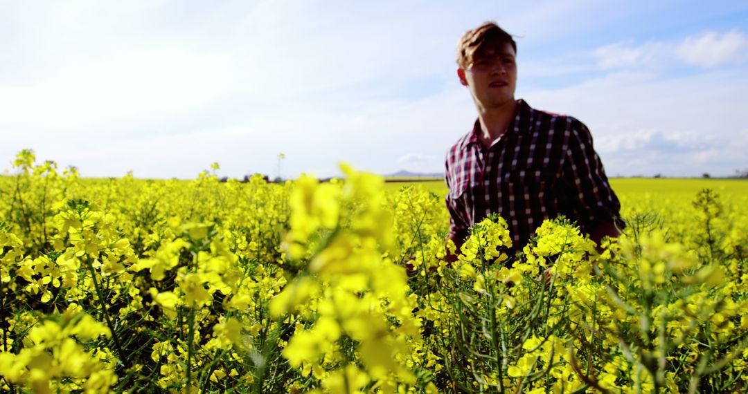 Farmer in Vibrant Yellow Rapeseed Field Managing Crops