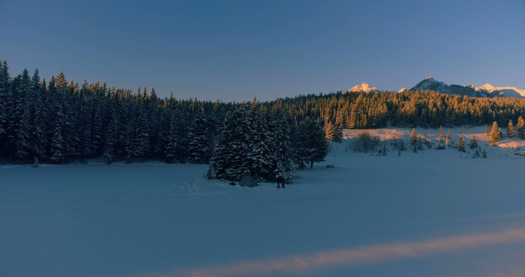Serene Winter Forest Landscape at Sunset with Mountain View - Free Images, Stock Photos and Pictures on Pikwizard.com