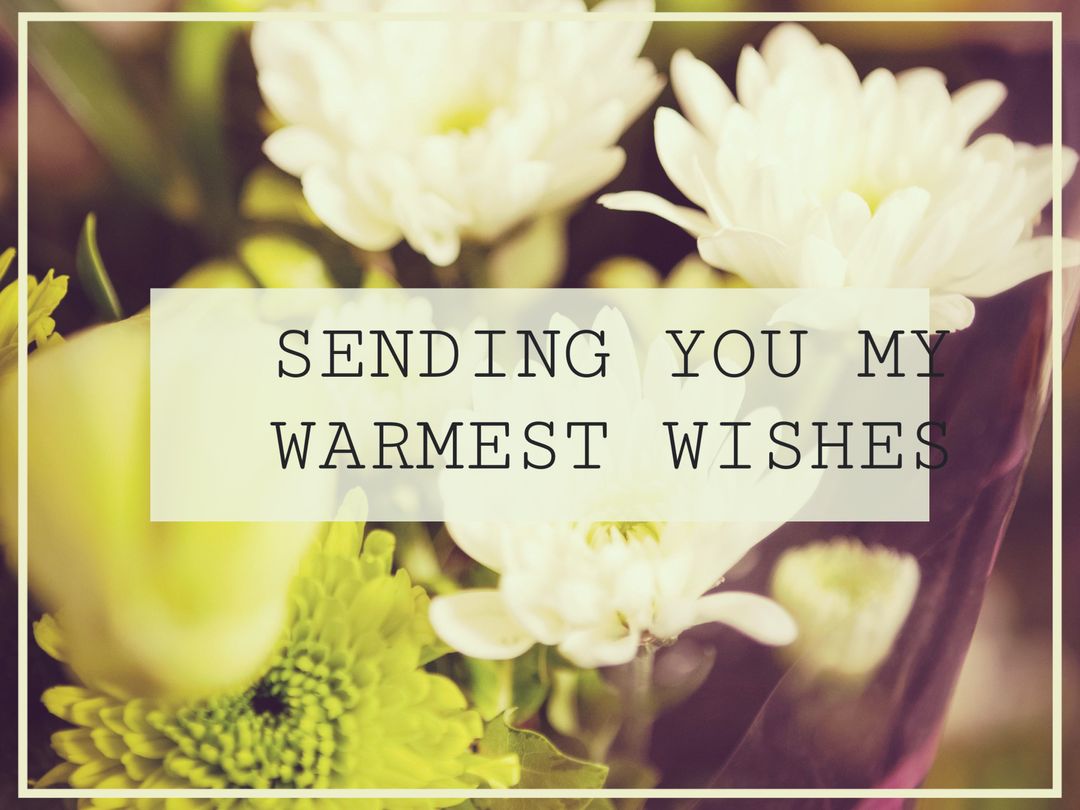 Sending Warm Wishes with Beautiful Vibrant Flowers